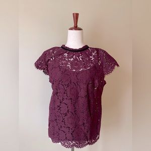 WHBM Lace Burgandy Top with Short Sleeves Size S